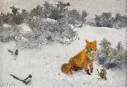 bruno liljefors Fox in Winter Landscape oil painting reproduction